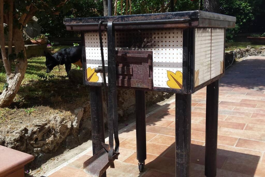 Giardino Mediterraneo Lacco Ameno  Ngoại thất bức ảnh