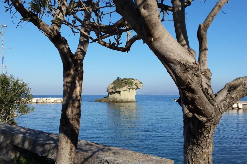 Giardino Mediterraneo Lacco Ameno  Ngoại thất bức ảnh
