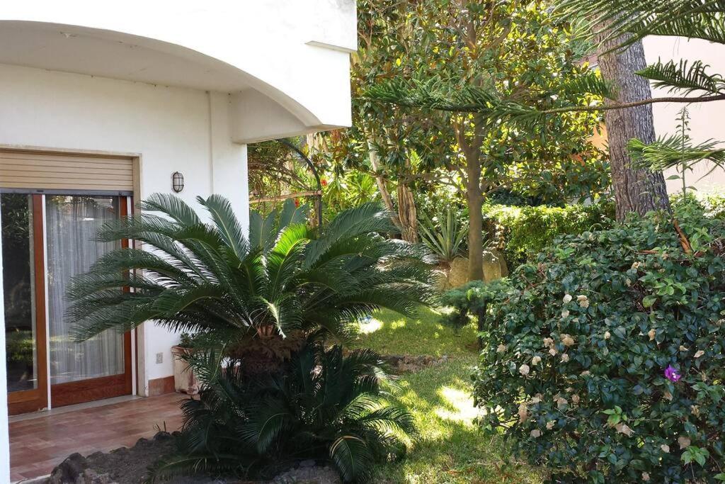 Giardino Mediterraneo Lacco Ameno  Ngoại thất bức ảnh