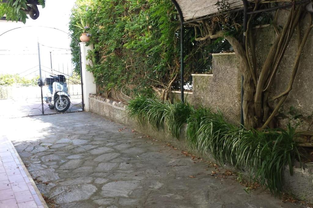 Giardino Mediterraneo Lacco Ameno  Ngoại thất bức ảnh